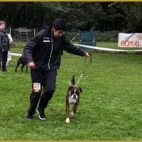 Azzaro, Marcoussis 18.10.15  