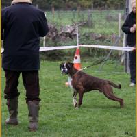 Azzaro, Marcoussis 18.10.15  