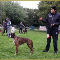 Azzaro, Marcoussis 18.10.15  