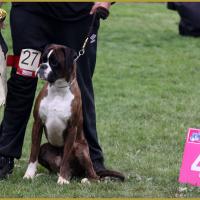 Azzaro, Marcoussis 18.10.15  