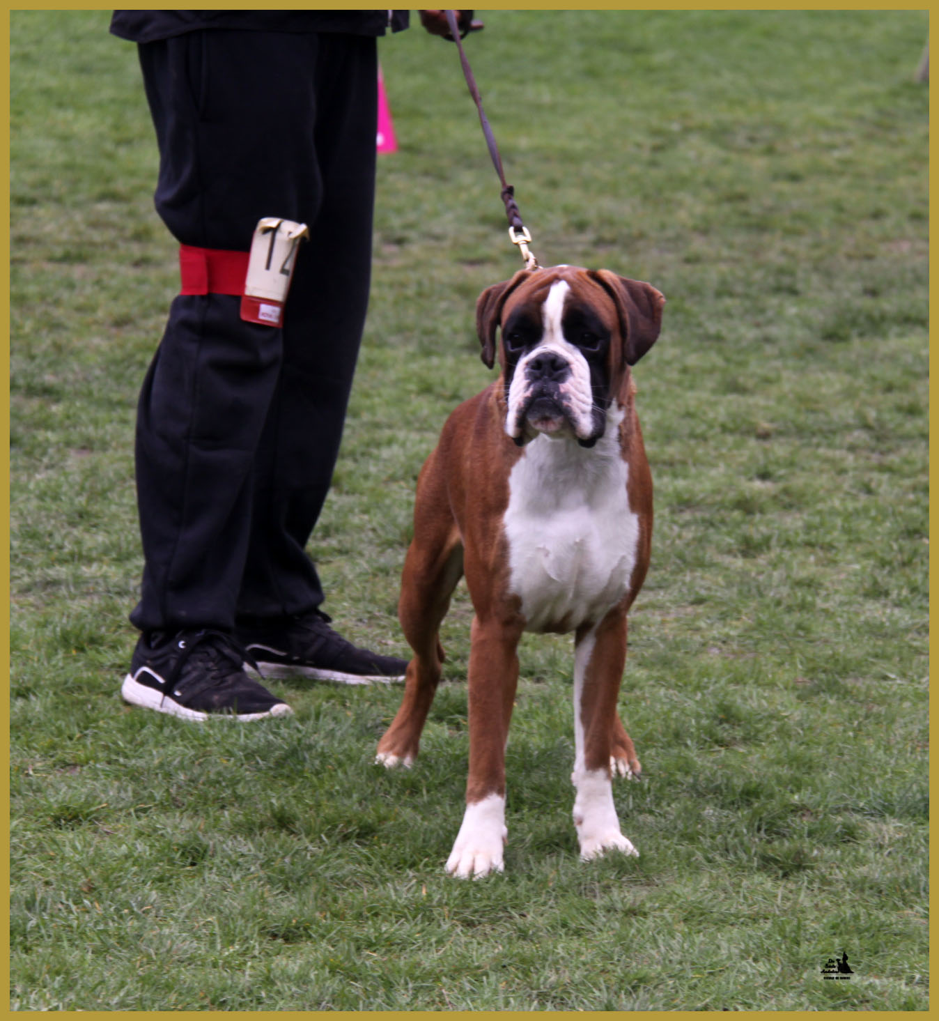 Jerez, Marcoussis 18.10.15