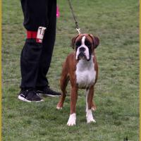 Jerez, Marcoussis 18.10.15