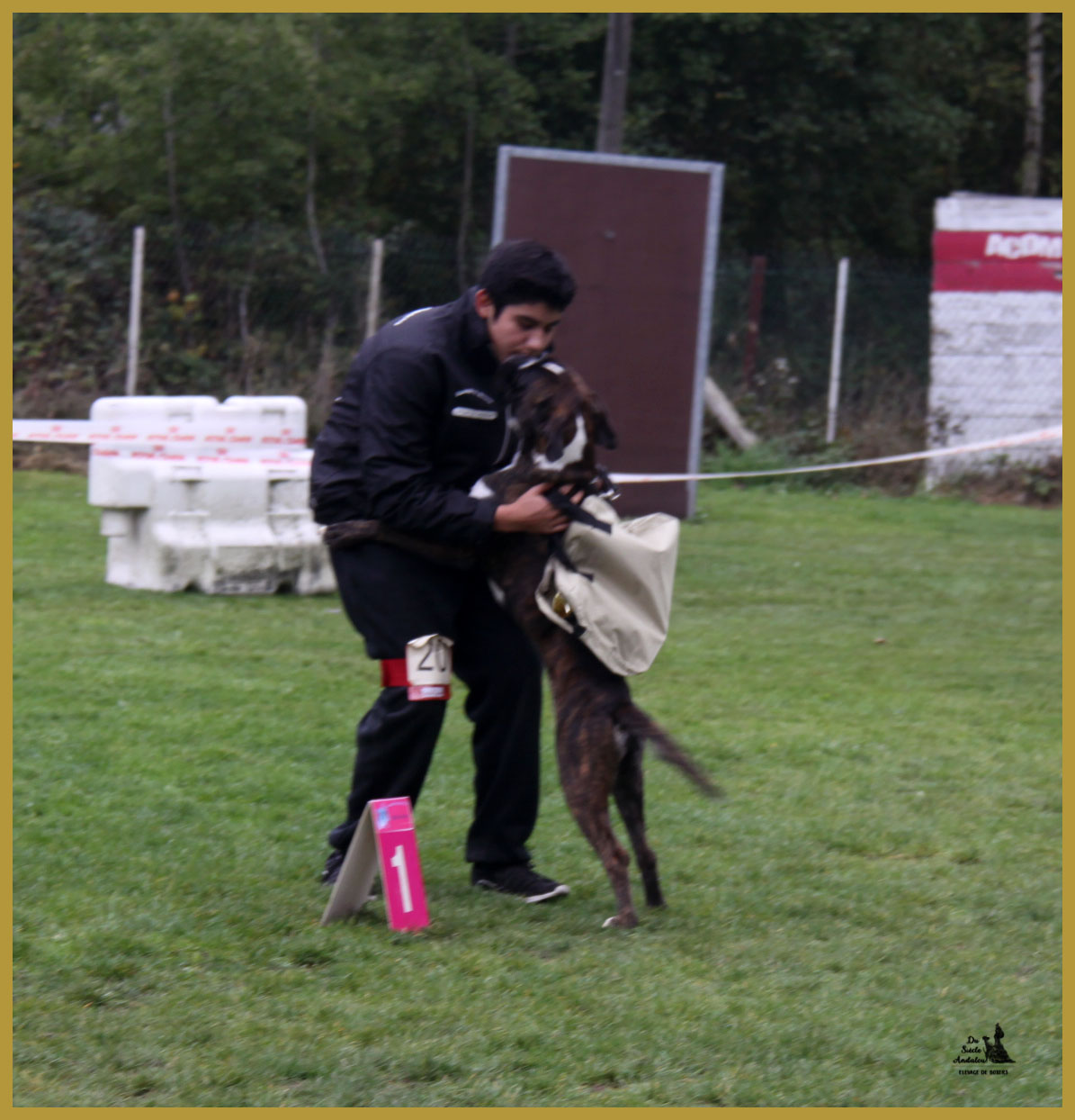 Jerico,  Marcoussis 18.10.15