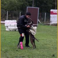 Jerico,  Marcoussis 18.10.15