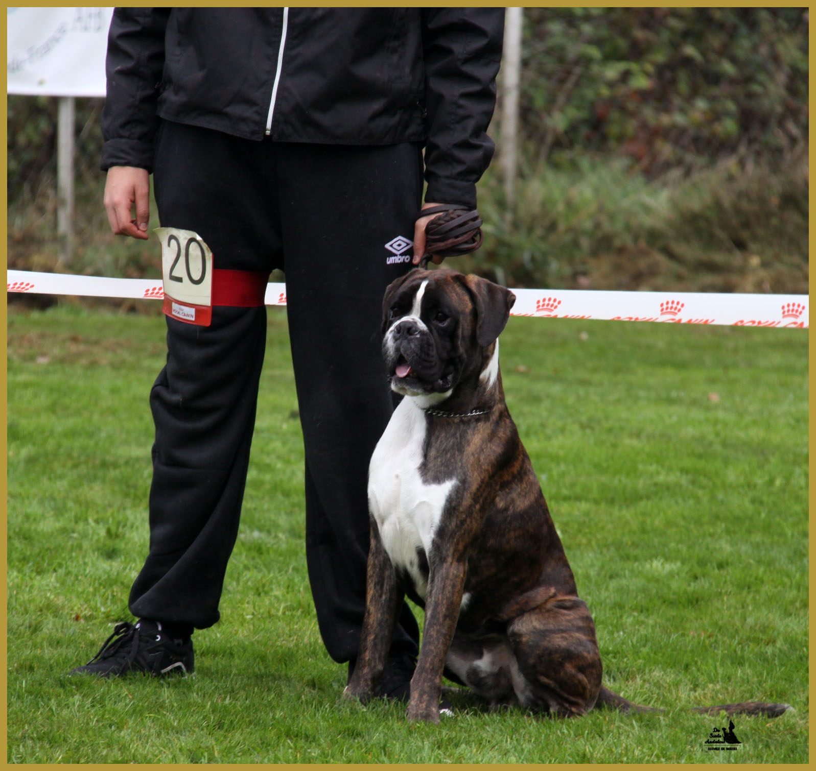 Jerico,  Marcoussis 18.10.15