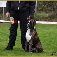 Jerico,  Marcoussis 18.10.15