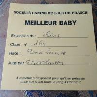 Nidia, Flins sur Seine 08.05.18