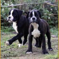 Mike & Maïdo 59 Jours