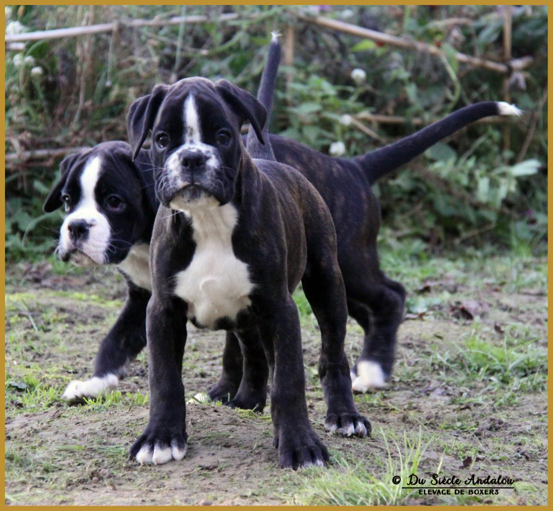 Mike & Maïdo 59 Jours