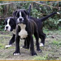 Mike & Maïdo 59 Jours