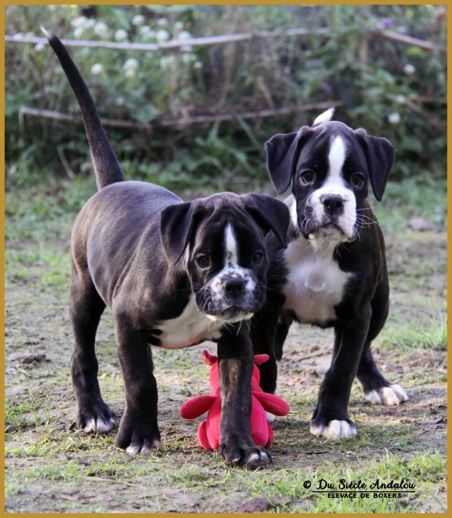 Mike & Maïdo 59 Jours