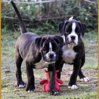 Mike & Maïdo 59 Jours