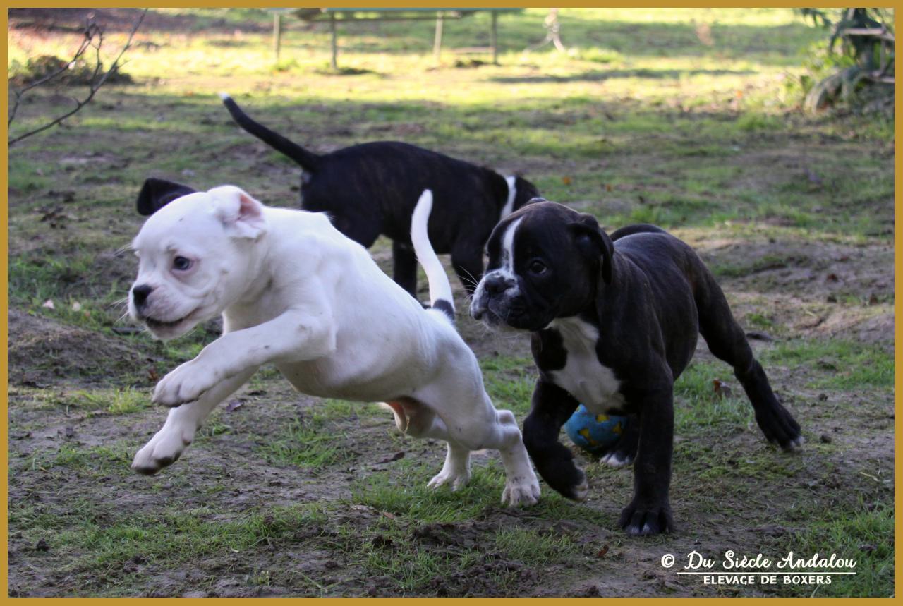 Mike, Maido &  Moya 59 Jours