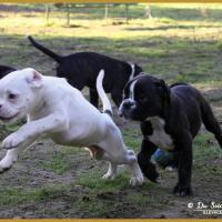 Mike, Maido &  Moya 59 Jours