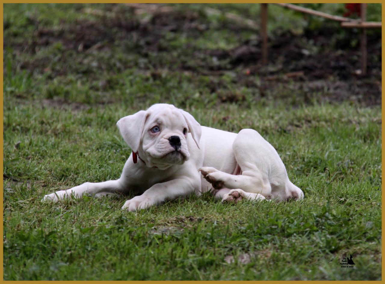 Mila, 14.05.16  La première sortie ! 