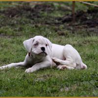 Mila, 14.05.16  La première sortie ! 