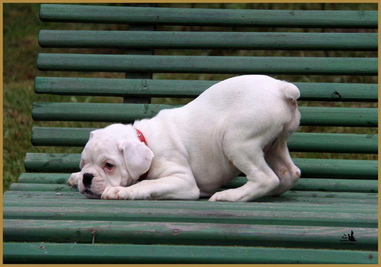 Mila, 14.05.16  La première sortie ! 