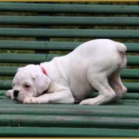 Mila, 14.05.16  La première sortie ! 