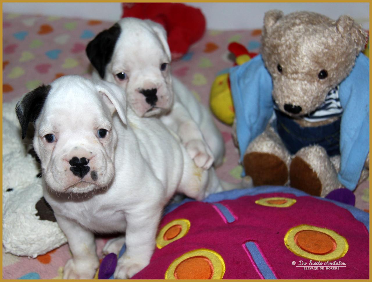 Milka et Moya, 31 Jours