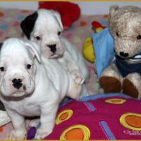 Milka et Moya, 31 Jours