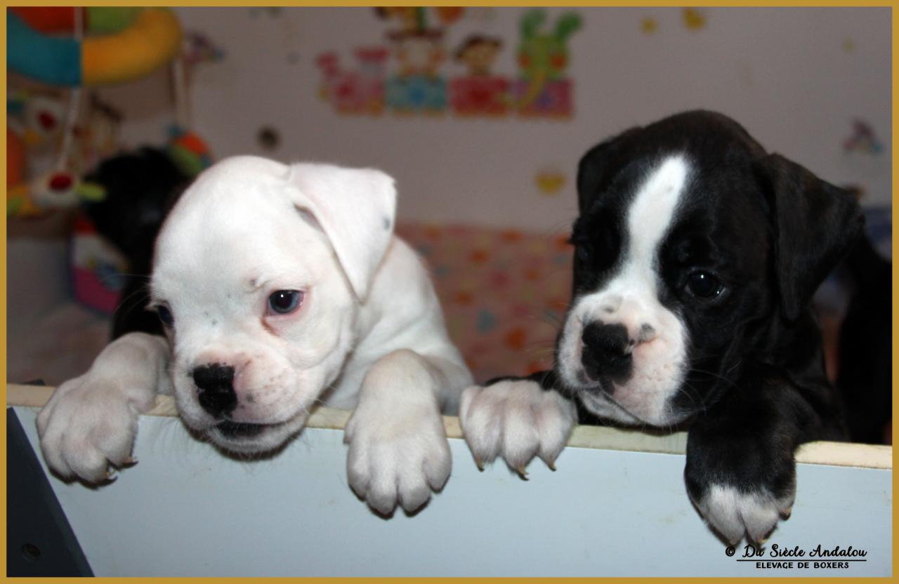 Moya & Mike   43 Jours