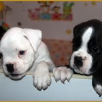 Moya & Mike   43 Jours