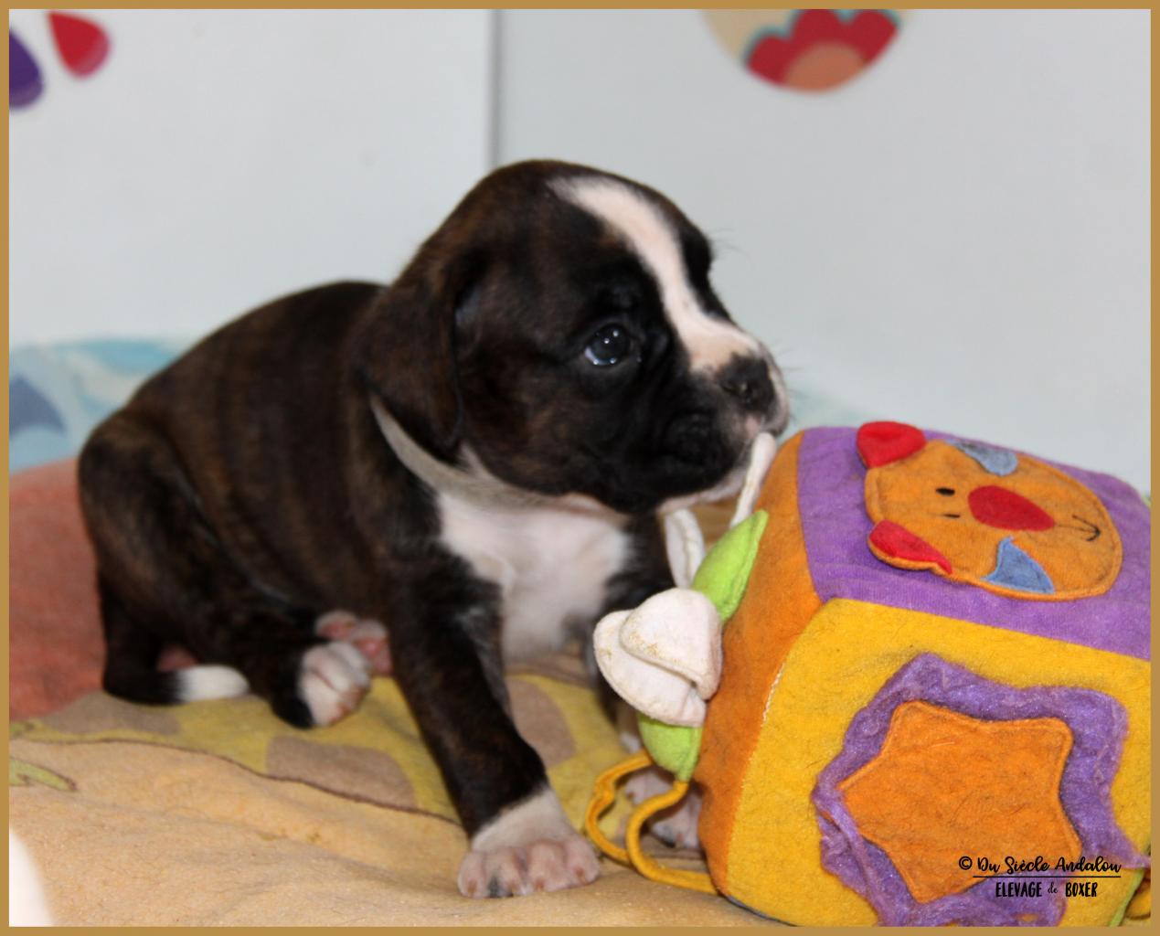 Narko 33 j 31.05.17 9353