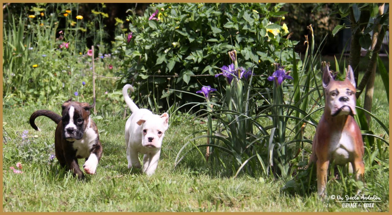 Nelson & Narko, 60 jours