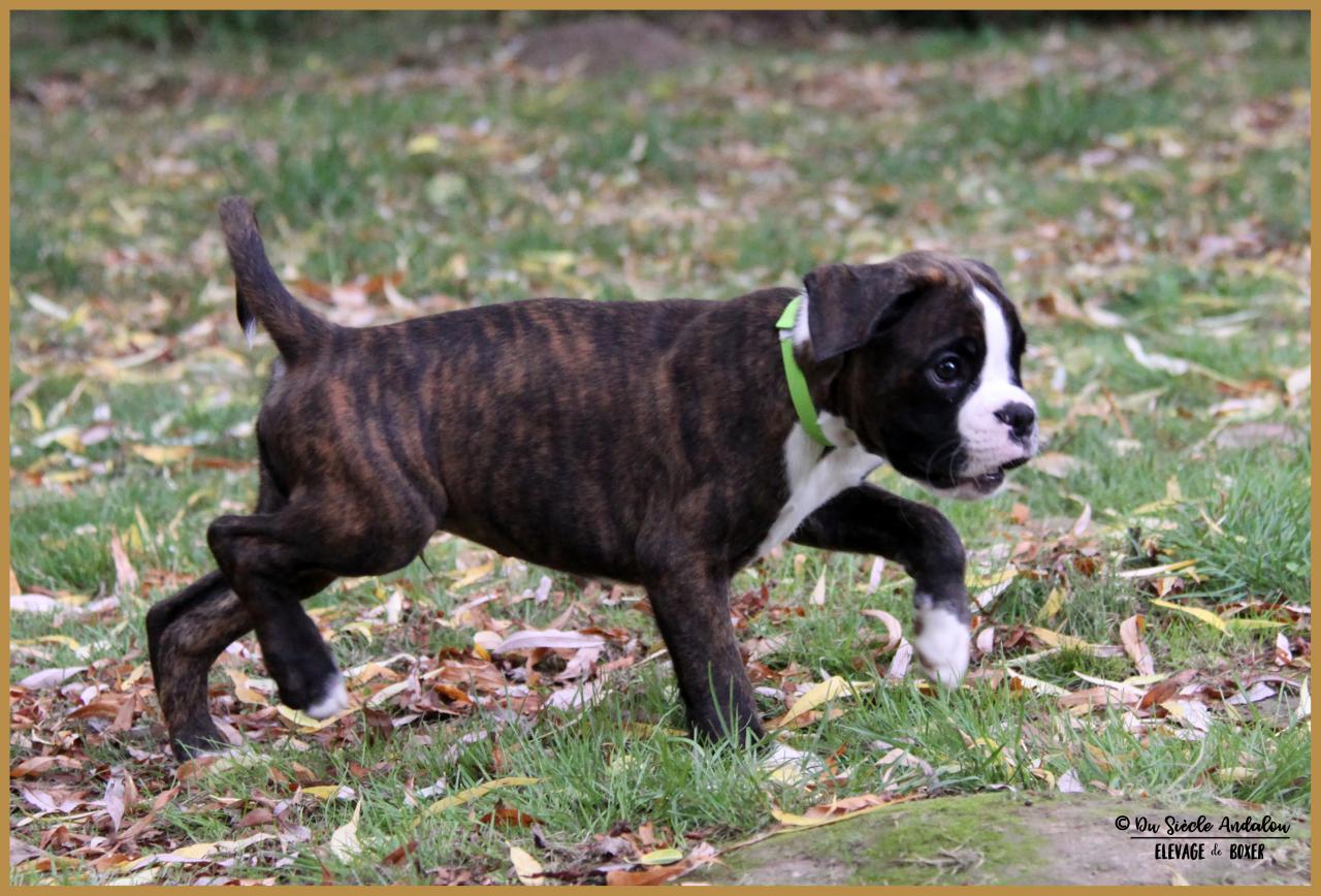 Newton 61 j 28.06.17  2109