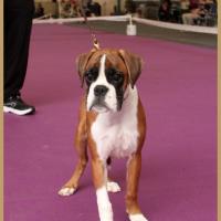 Nidia, Châteauroux 21.04.18 