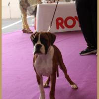 Nidia, Châteauroux 21.04.18 