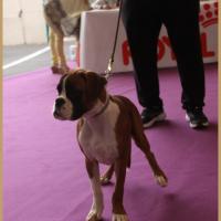 Nidia, Châteauroux 21.04.18 