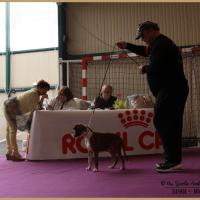 Nidia, Châteauroux 21.04.18 