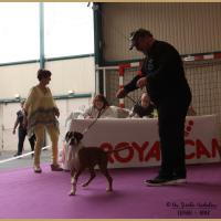 Nidia, Châteauroux 21.04.18 