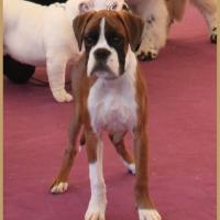 Nidia, Châteauroux 21.04.18 