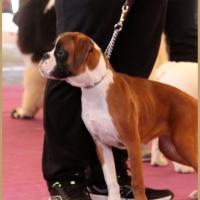 Nidia, Châteauroux 21.04.18 