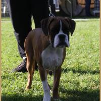 Nidia, Flins sur Seine 08.05.18 