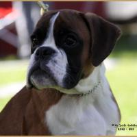 Nidia, Flins sur Seine 08.05.18 