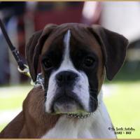 Nidia, Flins sur Seine 08.05.18