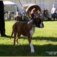 Nidia, Flins sur Seine 08.05.18 