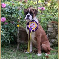 Nidia, Flins sur Seine 08.05.18