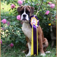 Nidia, Flins sur Seine 08.05.18