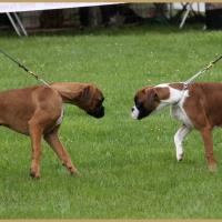 Nidia, RE Thionville 29.04.18 Classe Baby