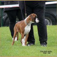 Nidia, RE Thionville 29.04.18 Classe Baby