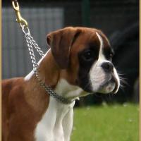 Nidia, RE Thionville 29.04.18 Classe Baby