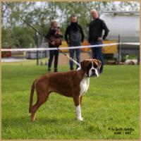 Nidia, RE Thionville 29.04.18 Classe Baby