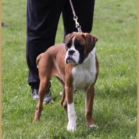 Nidia, RE Thionville 29.04.18 Classe Baby