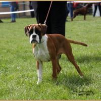 Nidia, RE Thionville 29.04.18 Classe Baby