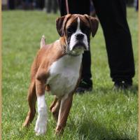 Nidia, RE Thionville 29.04.18 Classe Baby