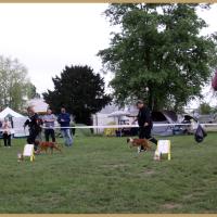 Nidia, RE Thionville 29.04.18 Classe Baby